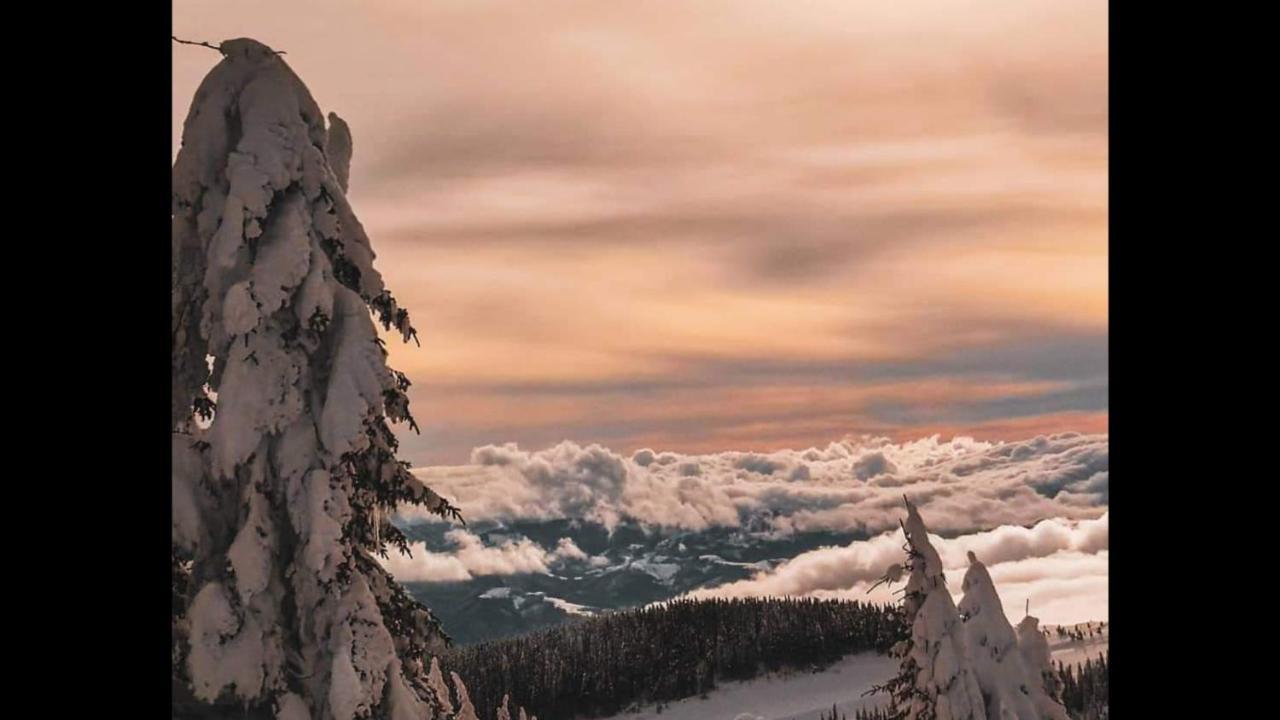 Apartments Zivkovic, Milmari D Kopaonik Luaran gambar